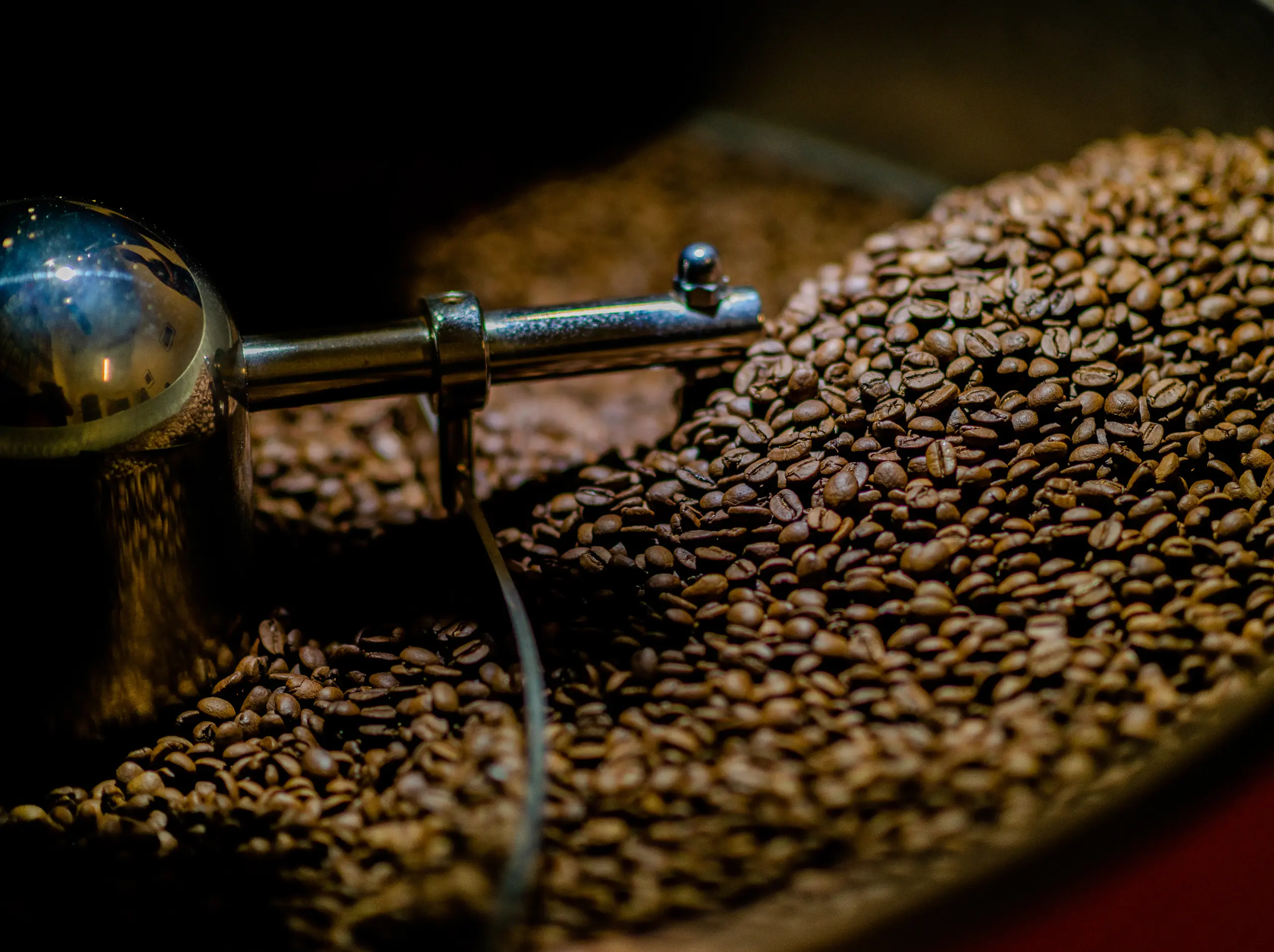 Dutch Coffee Lab photo